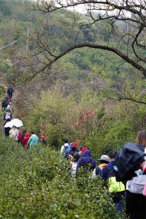 圖片2.jpg 圖片2.jpg